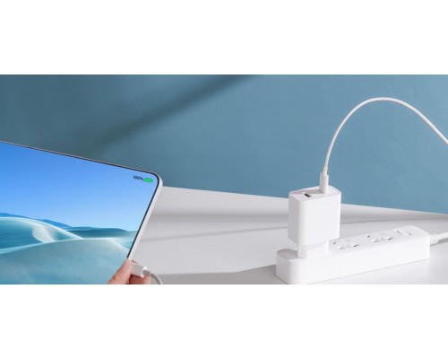 Сетевое зарядное Xiaomi Mi 33W Wall Charger