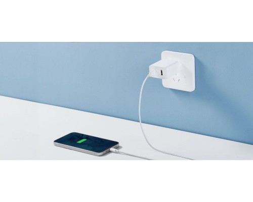 Сетевое зарядное Xiaomi Mi 33W Wall Charger