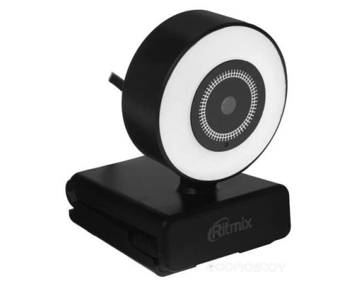 Веб-камера Ritmix RVC-250