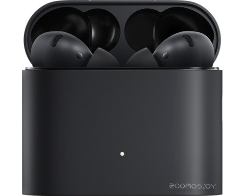 Наушники Xiaomi Mi True Wireless Earphones 2 Pro TWSEJ10WM