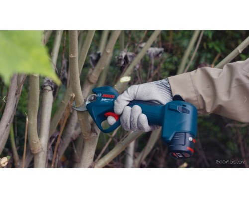 Секатор Bosch Pro Pruner Professional 06019K1020 (без АКБ)