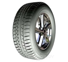 Шина Petlas Snow Master W651 245/45R19 102V