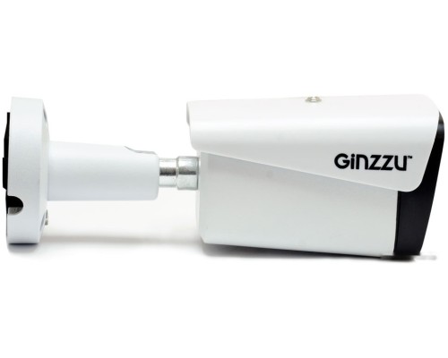 IP-камера Ginzzu HIB-5301A