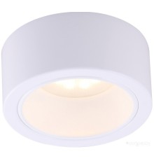 Точечный светильник Arte Lamp Effetto A5553PL-1WH