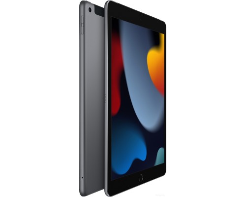 Планшет Apple iPad 10.2" 2021 256GB 5G MK4E3 (серый космос)