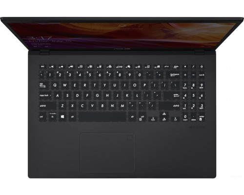 Ноутбук Asus X509JA-BR112