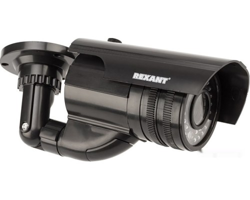 IP-камера Rexant 45-0250