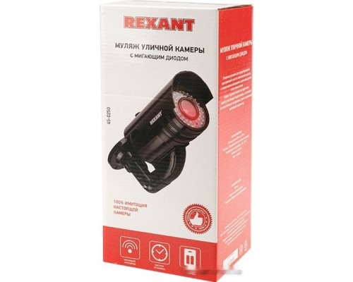 IP-камера Rexant 45-0250