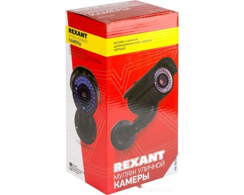 IP-камера Rexant 45-0250