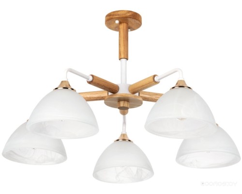 Люстра средней высоты Arte Lamp Matthew A5032PL-5BR