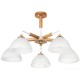 Люстра средней высоты Arte Lamp Matthew A5032PL-5BR