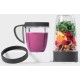 Блендер NutriBullet NB607DG