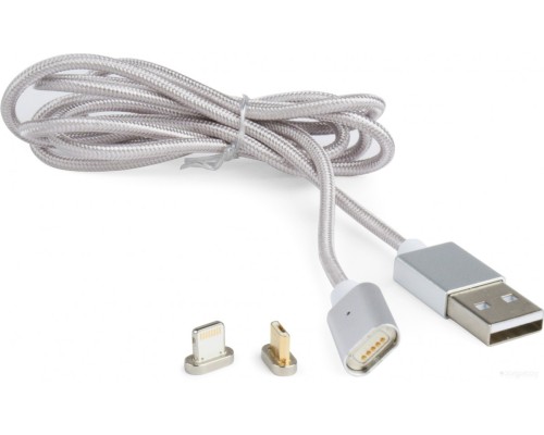 Кабель Cablexpert CC-USB2-AMLM3-1M