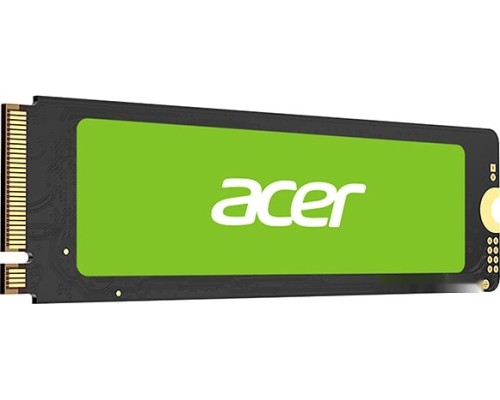 SSD Acer FA100 256GB BL.9BWWA.118