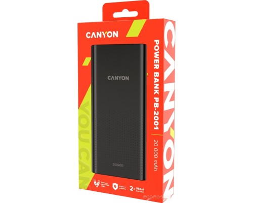 Портативное зарядное устройство Canyon CNE-CPB2001B 20000mAh (черный)