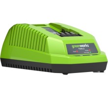 Зарядное устройство Greenworks G40C (40В)