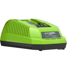 Зарядное устройство Greenworks G40C (40В)