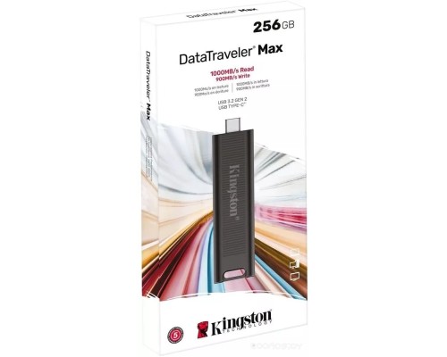 USB Flash Kingston DataTraveler Max 256GB