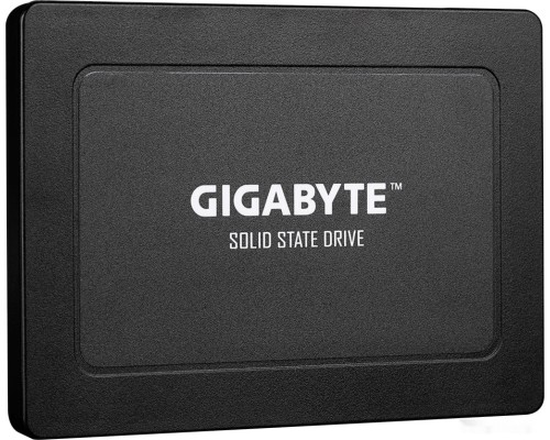 SSD Gigabyte 960GB GP-GSTFS31960GNTD-V