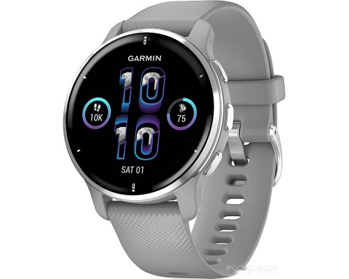 Умные часы Garmin Venu 2 Plus (серебристый/серый)