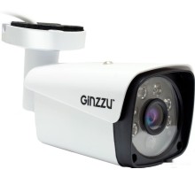 IP-камера Ginzzu HIB-2302A