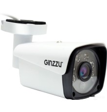 IP-камера Ginzzu HIB-2302A