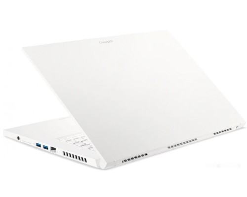 Ноутбук Acer ConceptD 3 CN315-72G-596H NX.C5XER.003