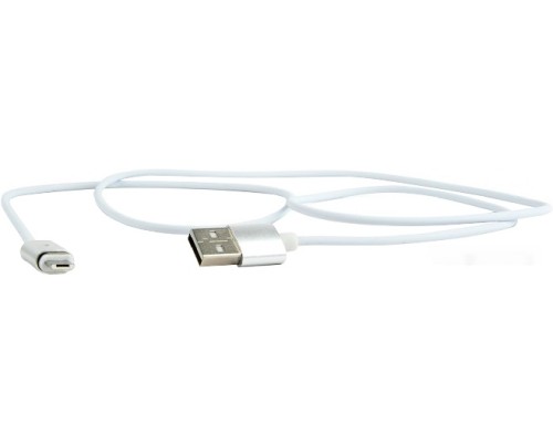 Кабель Cablexpert CC-USB2-AMmUMM-1M