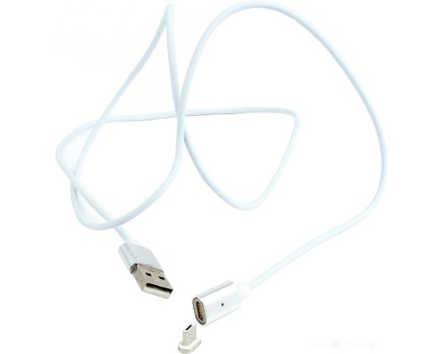 Кабель Cablexpert CC-USB2-AMmUMM-1M