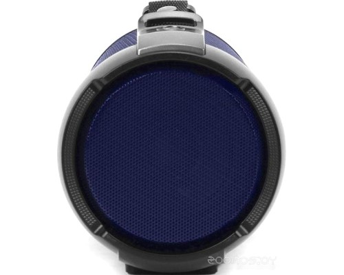Портативная акустика Telefunken TF-PS1243B (темно-синий)