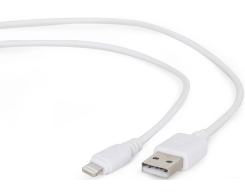 Кабель Cablexpert CC-USB2-AMLM-W-0.1M