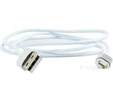 Кабель Cablexpert CC-USB2-AMLMM-1M