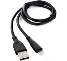 Кабель Cablexpert USB Type-A - Lightning CCB-USB-AMAPO1-1MB (1 м, черный)