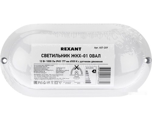 Уличный настенный светильник Rexant 607-209