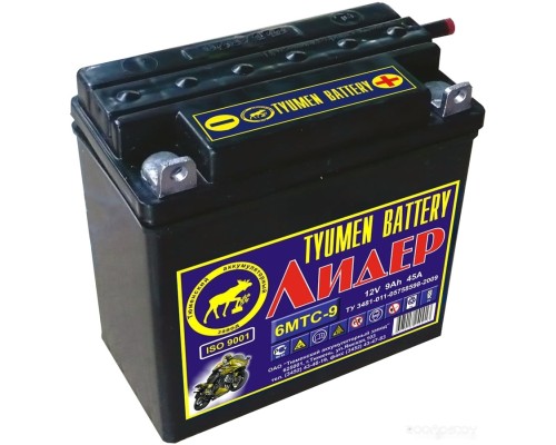 Мотоциклетный аккумулятор Tyumen Battery Лидер 6МТС-9 (9 А·ч)