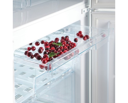 Холодильник Snaige RF58SG-P5CBNF0