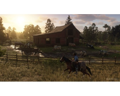 PlayStation 4 Red Dead Redemption 2 для PlayStation 4