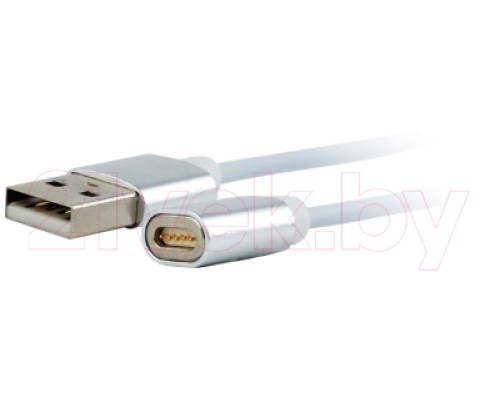 Кабель Cablexpert CC-USB2-AMLM31-1M