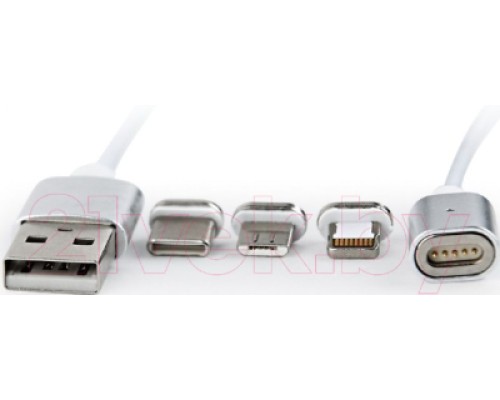 Кабель Cablexpert CC-USB2-AMLM31-1M