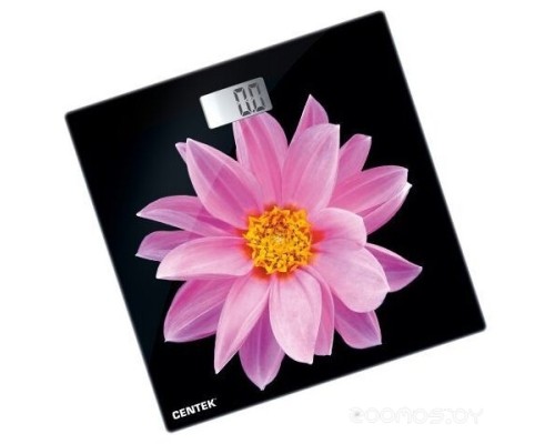 Напольные весы CENTEK CT-2416 (pink flower)