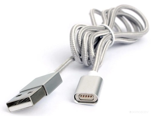 Кабель Cablexpert CC-USB2-AMMg-1M