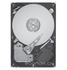 Жесткий диск Seagate ST9300605SS