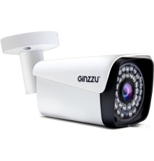 Камера CCTV Ginzzu HAB-5302S