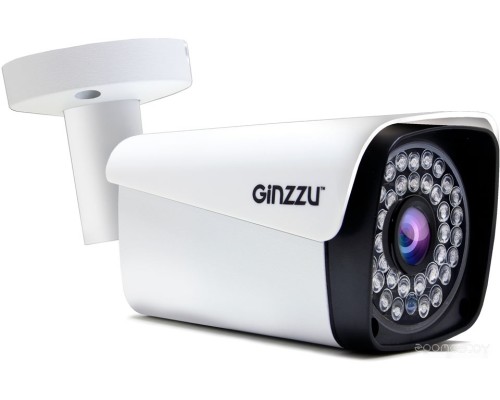 Камера CCTV Ginzzu HAB-5302S