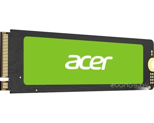 SSD Acer FA100 1TB BL.9BWWA.120