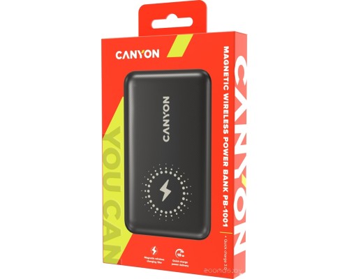 Портативное зарядное устройство Canyon PB-1001 10000mAh (черный)