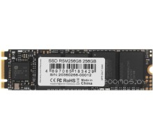 SSD AMD Radeon R5 256GB R5M256G8