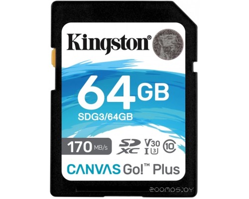 Карта памяти Kingston SDG3/64GB