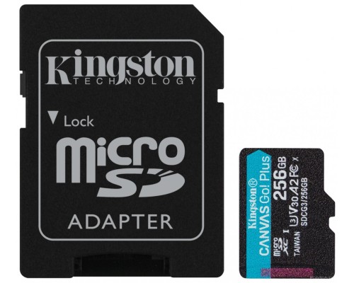 Карта памяти Kingston SDCG3/256GB