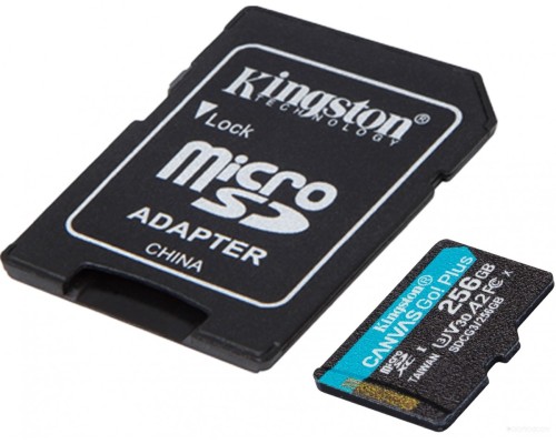 Карта памяти Kingston SDCG3/256GB